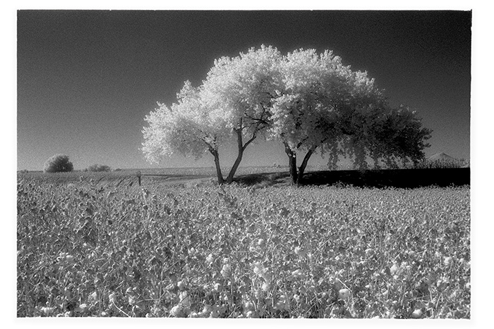 Photograph by Vallarie Enriquez